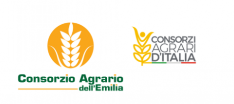 Raccolta contenitori bonificati fitosanitari  provincia di Modena 2024