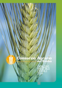 IL NUOVO CATALOGO VARIETALE CEREALI 2014 IL NUOVO CATALOGO VARIETALE CEREALI 2014