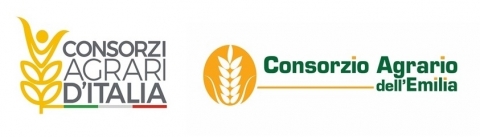 Raccolta contenitori bonificati fitosanitari provincia di Modena 2025 Raccolta contenitori bonificati fitosanitari provincia di Modena 2025