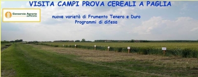 VISITA CAMPI PROVA VARIETALI A PAGLIA VISITA CAMPI PROVA VARIETALI A PAGLIA