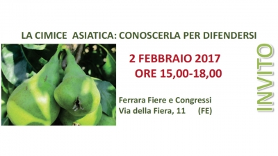 LA CIMICE ASIATICA :CONOSCERLA PER DIFENDERSI LA CIMICE ASIATICA :CONOSCERLA PER DIFENDERSI