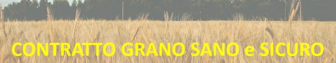 Contratto grano e assicurazione FATA Contratto grano e assicurazione FATA