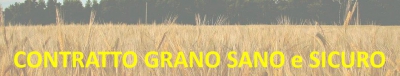 Contratto grano e assicurazione FATA Contratto grano e assicurazione FATA