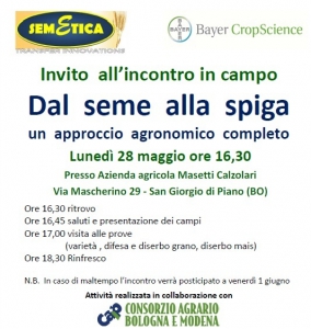 Dal seme alla spiga Dal seme alla spiga