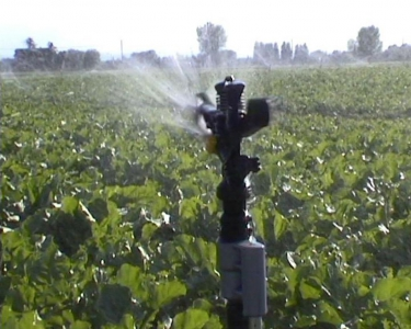 SERVIZIO IRRIGAZIONE SERVIZIO IRRIGAZIONE