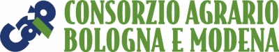 Approvazione  progetto  di fusione  con il   CAP di  Reggio Emilia