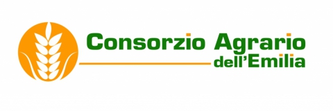 Chiusura straordinaria Festività natalizie Chiusura straordinaria Festività natalizie