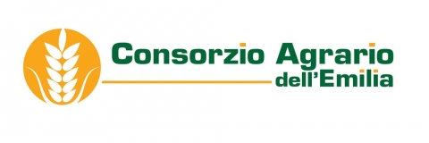 CONSORZI AGRARI ITALIA