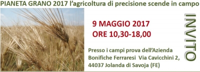 PIANETA GRANO 2017 PIANETA GRANO 2017