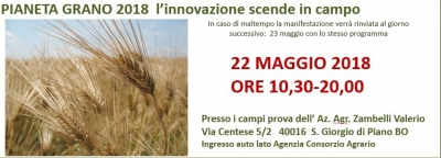 MANIFESTAZIONI SUL PIANETA GRANO MANIFESTAZIONI SUL PIANETA GRANO