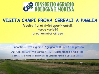 Visita campi varietali 7-6-11 Visita campi varietali 7-6-11