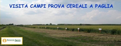 VISITA CAMPI PROVA VARIETALE A PAGLIA VISITA CAMPI PROVA VARIETALE A PAGLIA