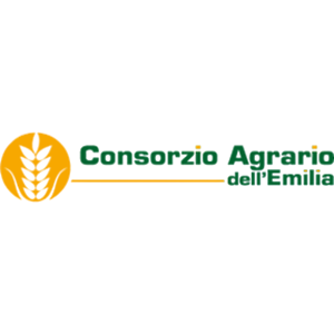 logo_footer